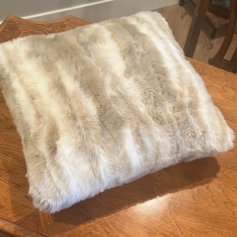 Throw pillow. no tag, never been on a couch. just in closet